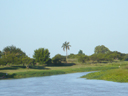 Santa Rosa