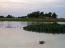 Cayasta