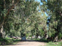 Cayasta