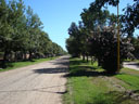 Cayasta