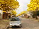 Romang