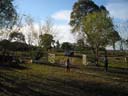 Romang